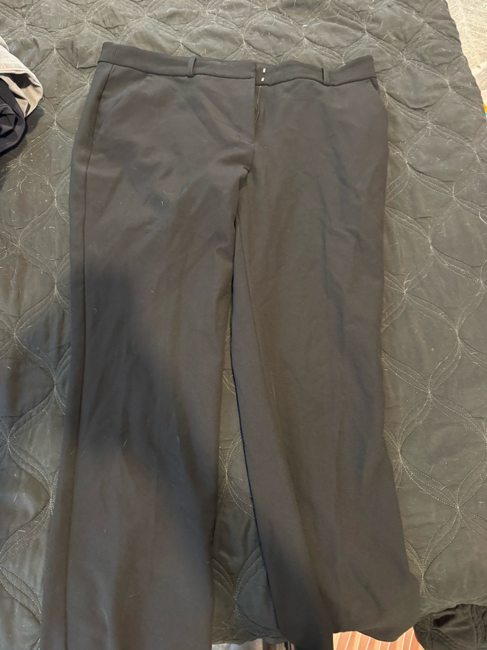 Express Women's Straight Leg Dress Pants - Black